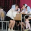 Отборочный тур интеллектуального турнира "Буквица" 80
