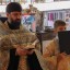 Рождество Пресвятой Владычицы нашей Богородицы и Приснодевы Марии 1