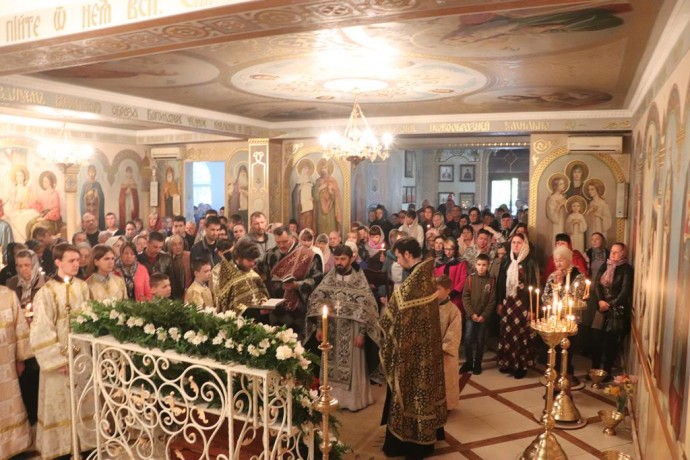 115ea7e2