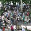 Праздник Святой Пятидесятницы 50
